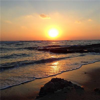 246天天好彩app下载