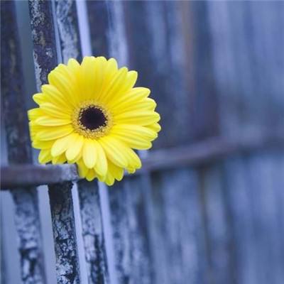 安博体育·(中国)官方网站app下载