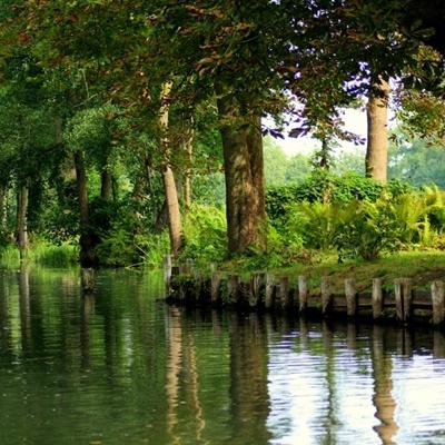 新世纪棋牌手机app下载