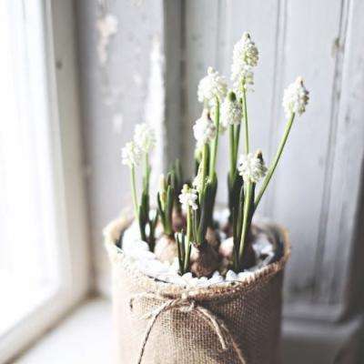 极速赛车8码预测网页下载