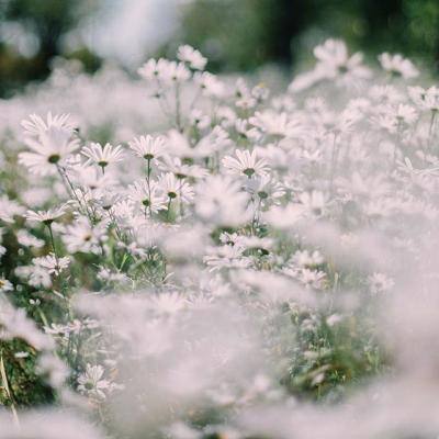 爱游戏APP·官方登录入口(ayx)app下载