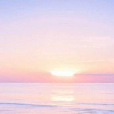 im电竞官网注册