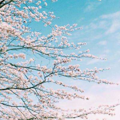 足球游戏下载手机版