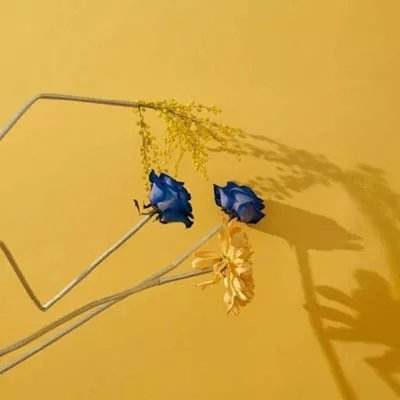 爱游戏APP·官方登录入口(ayx)app下载截图